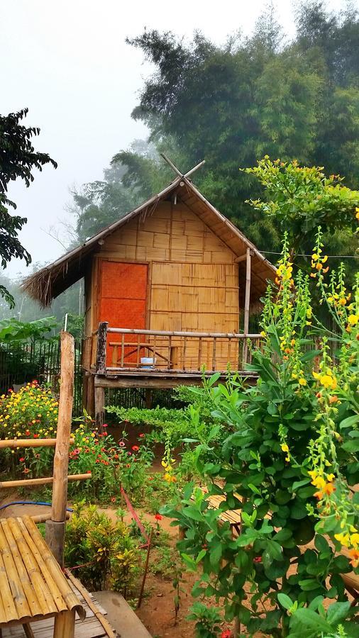 Baan Aingdoi Homestay, Chiang Dao Dış mekan fotoğraf