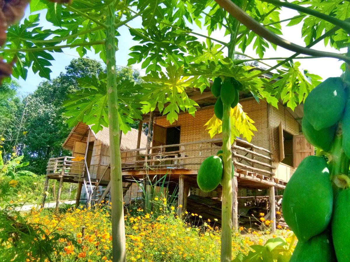 Baan Aingdoi Homestay, Chiang Dao Dış mekan fotoğraf