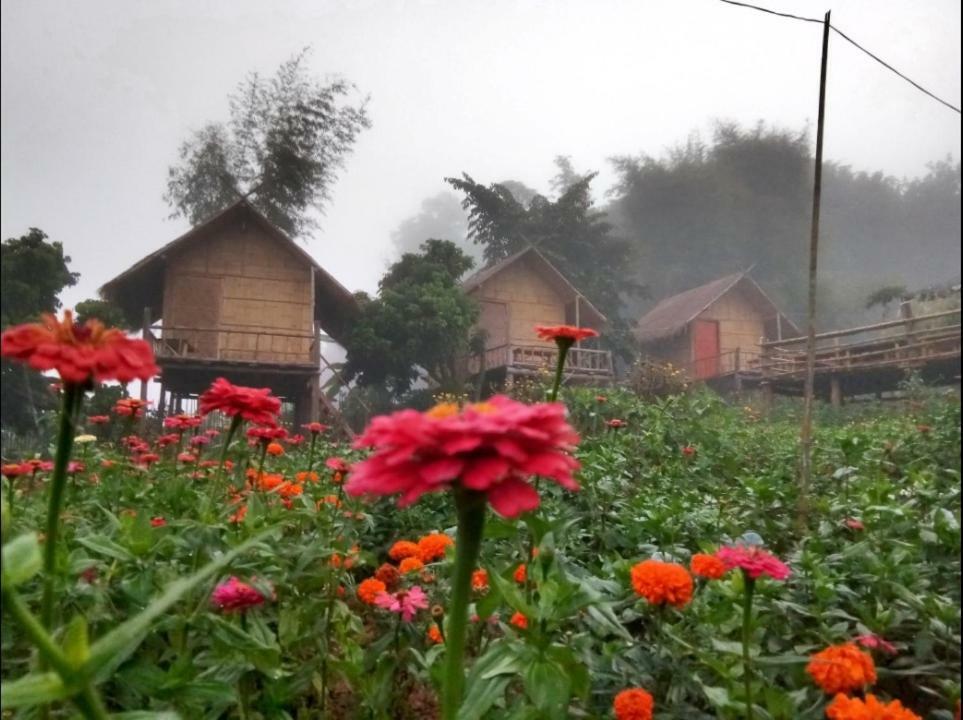 Baan Aingdoi Homestay, Chiang Dao Dış mekan fotoğraf